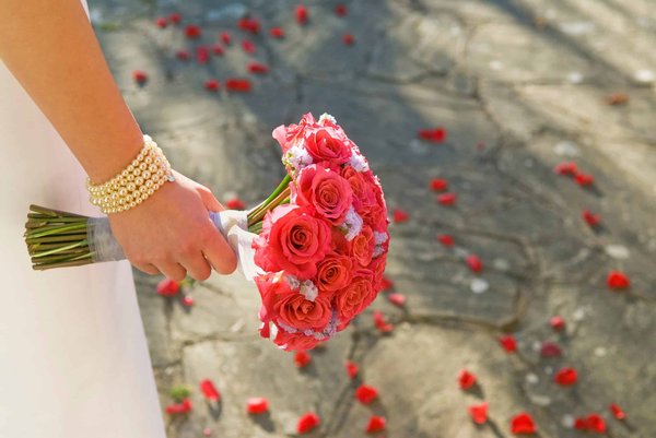 How to Safely Navigate the Challenges of Raising a Litter of Puppies?