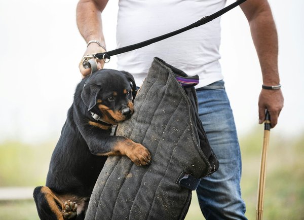 How Can You Utilize Smart Locks for Enhanced Home Security?